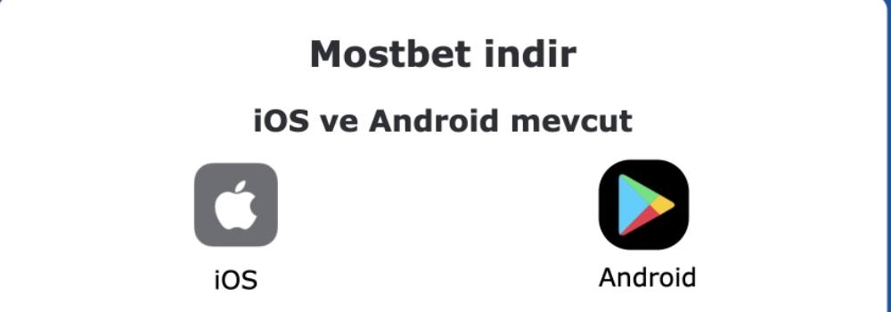 Kompaniyaning ijobiy va salbiy tomonlari
